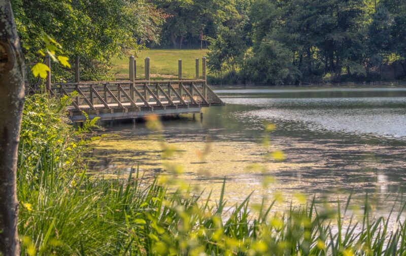 brown wooden bridge over river