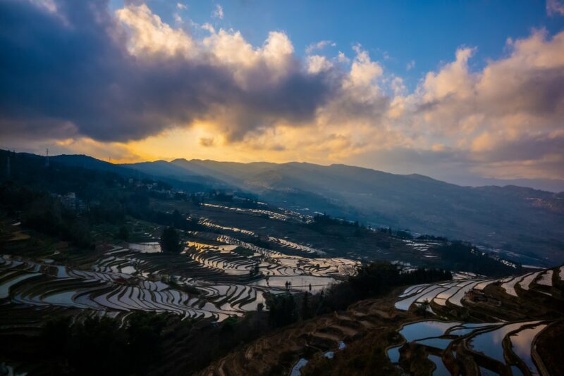 the sun is setting over a rice field